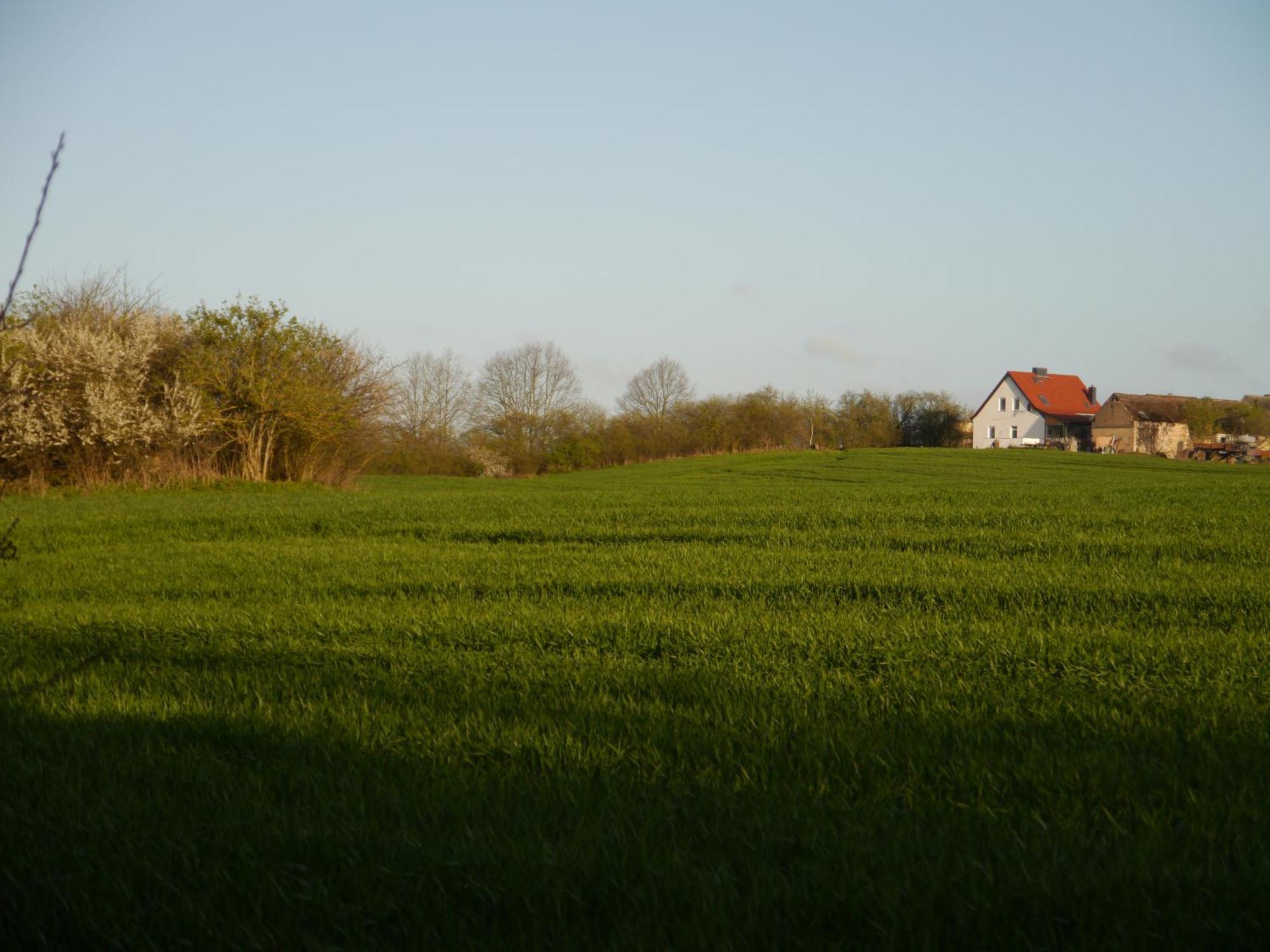 Ferienhaus-Uckermarkblick Rosenow  Exterior foto